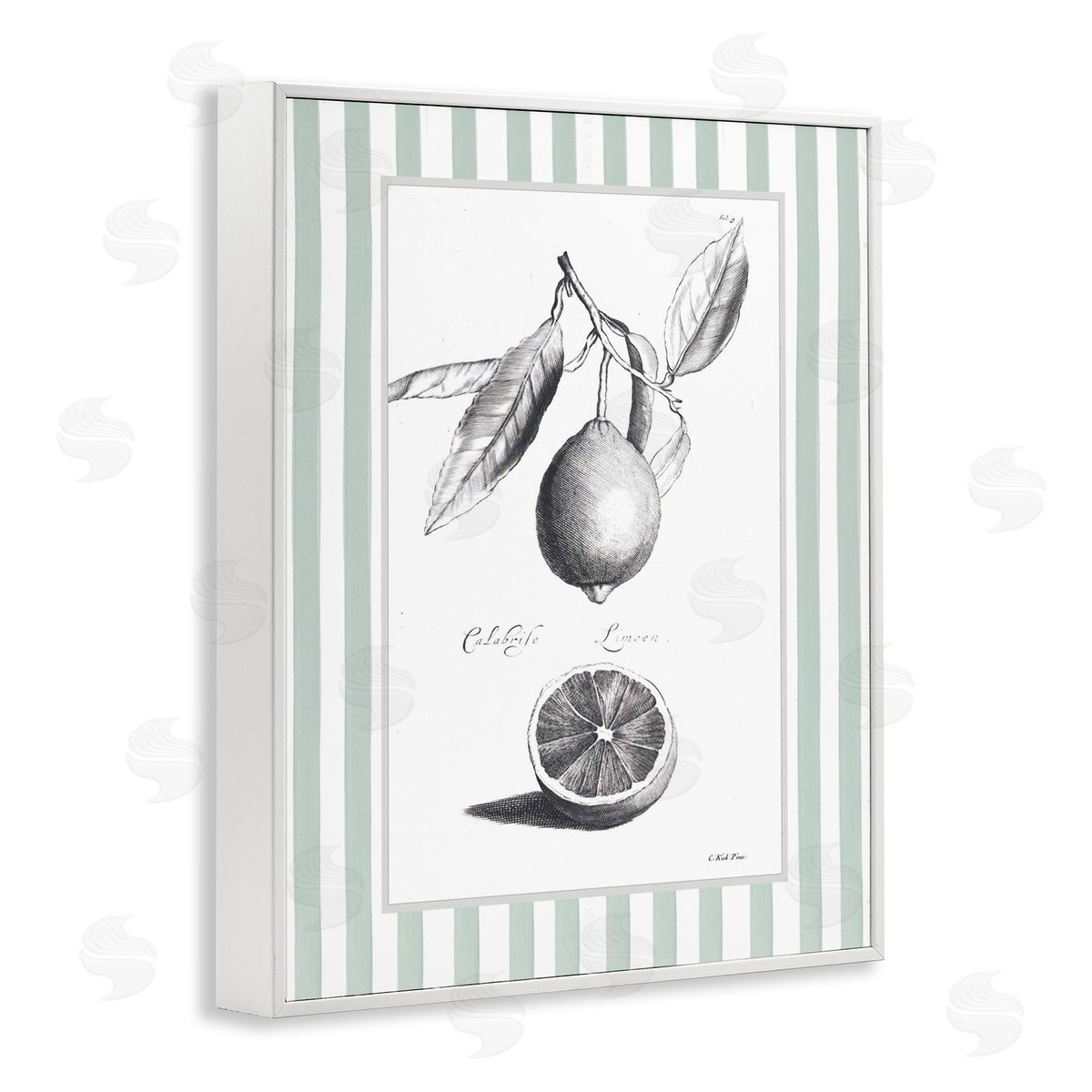 Lettered and Lined Vintage Citrus Striped Border Canvas Wall Art Print