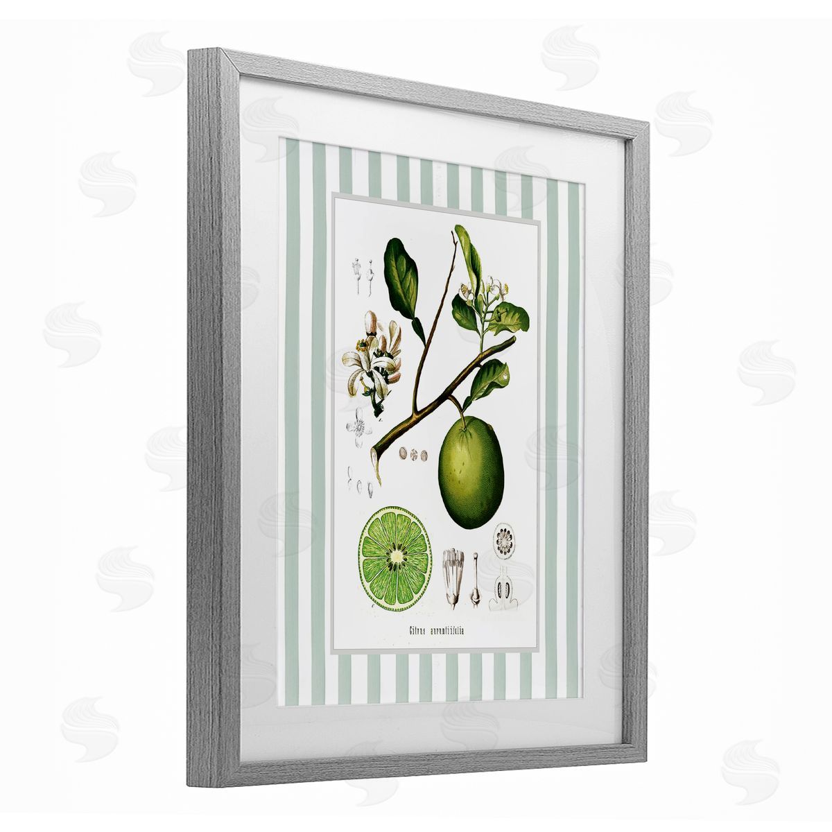Lettered and Lined Vintage Lime Green Stripes Canvas Wall Art Print