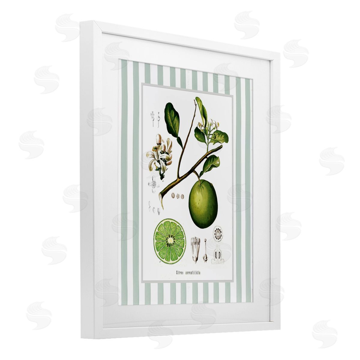 Lettered and Lined Vintage Lime Green Stripes Canvas Wall Art Print