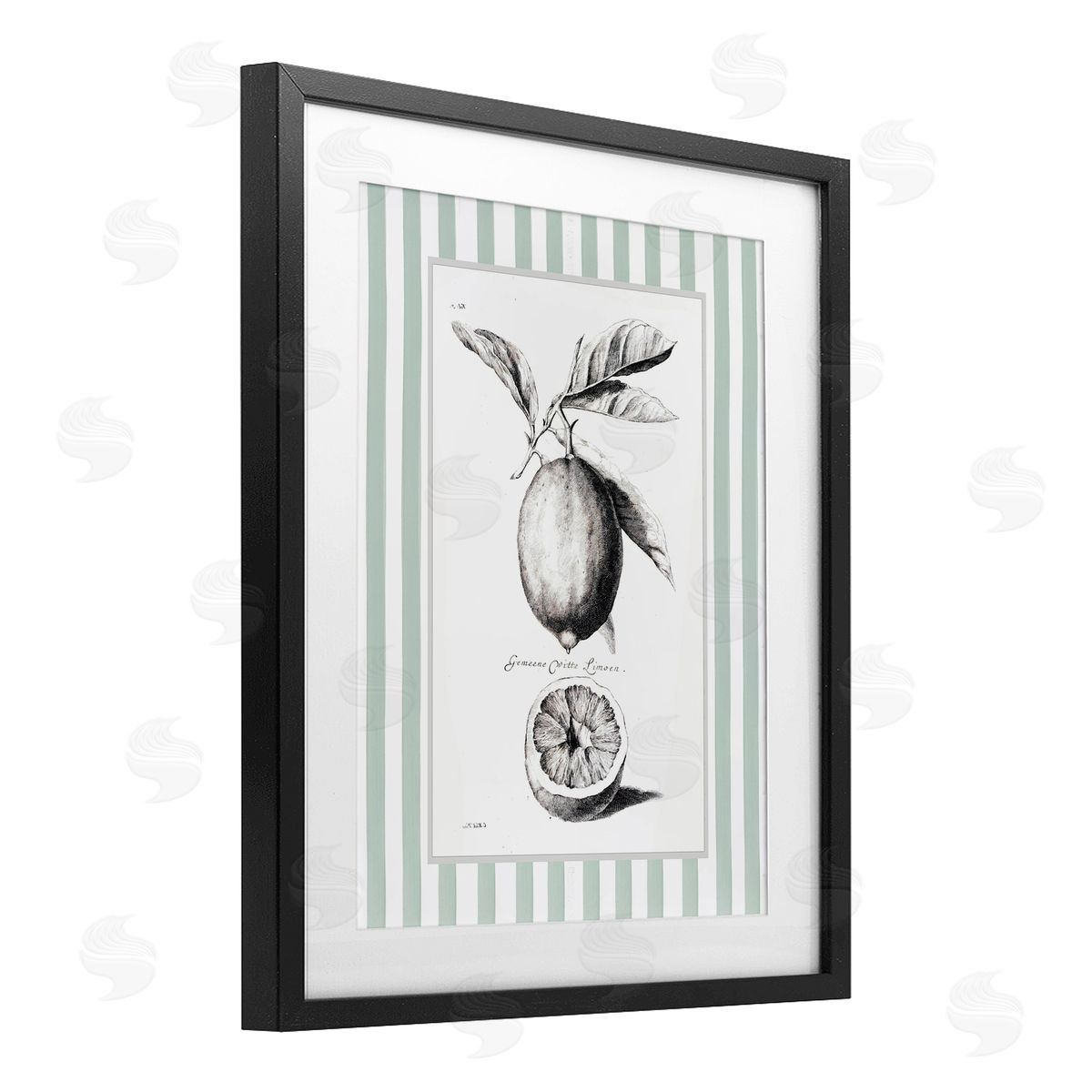 Lettered and Lined Vintage Citrus Green Stripes Canvas Wall Art Print