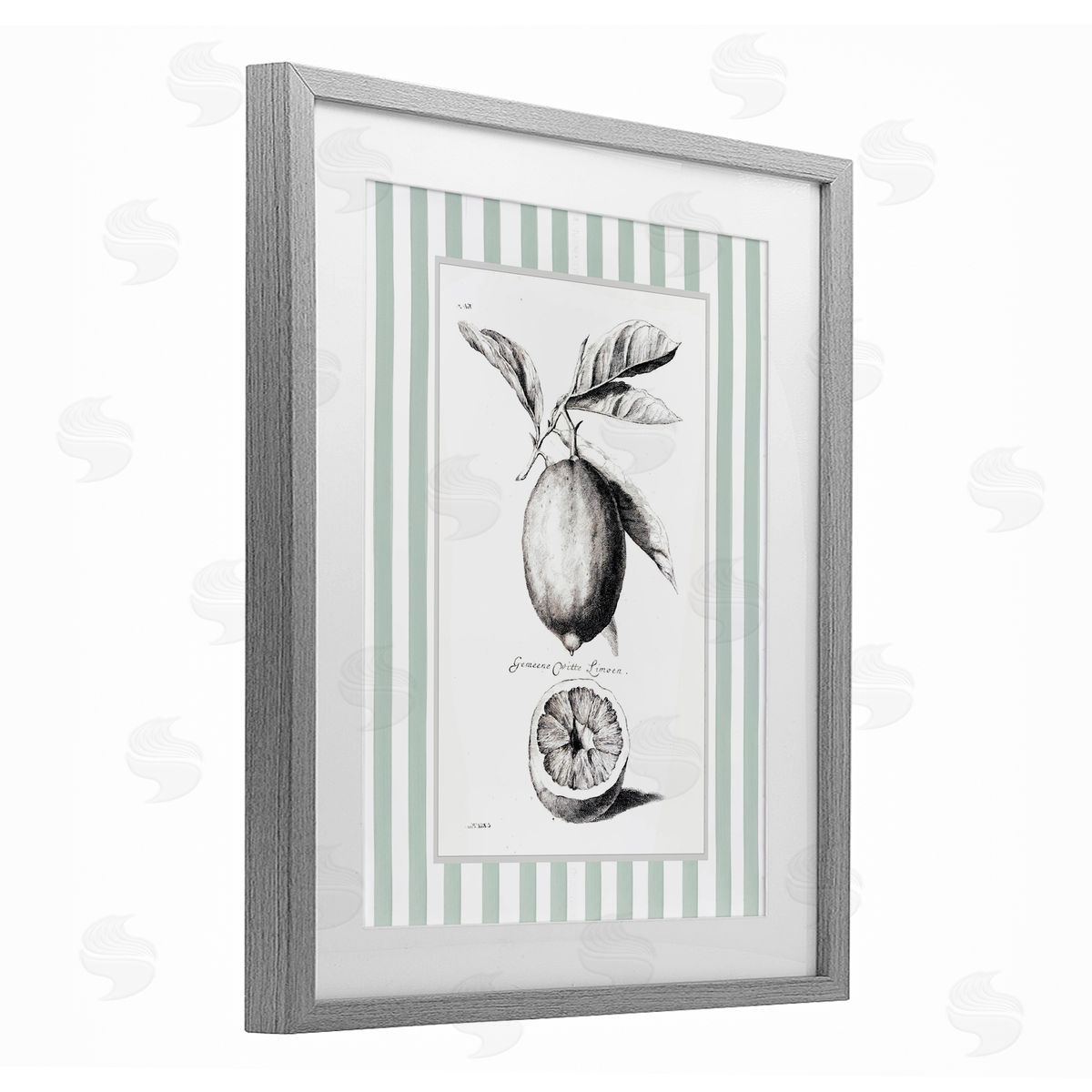 Lettered and Lined Vintage Citrus Green Stripes Canvas Wall Art Print