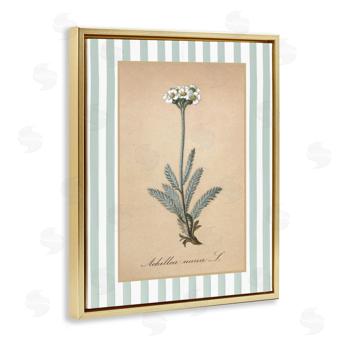 Lettered and Lined Wild Herb with Green Stripes Canvas Wall Art Print