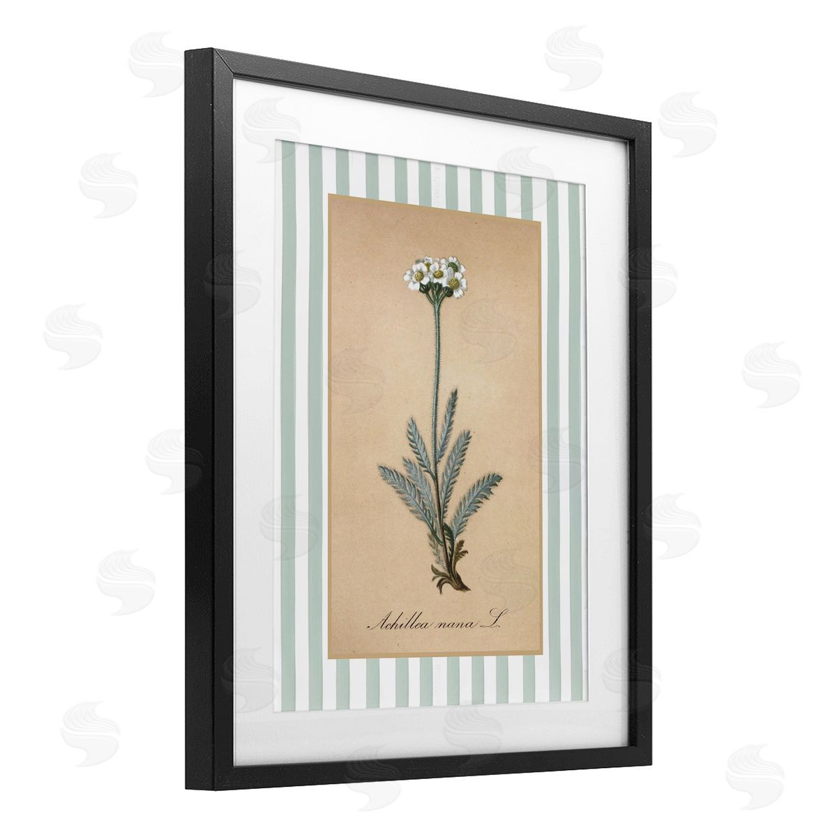 Lettered and Lined Wild Herb with Green Stripes Canvas Wall Art Print