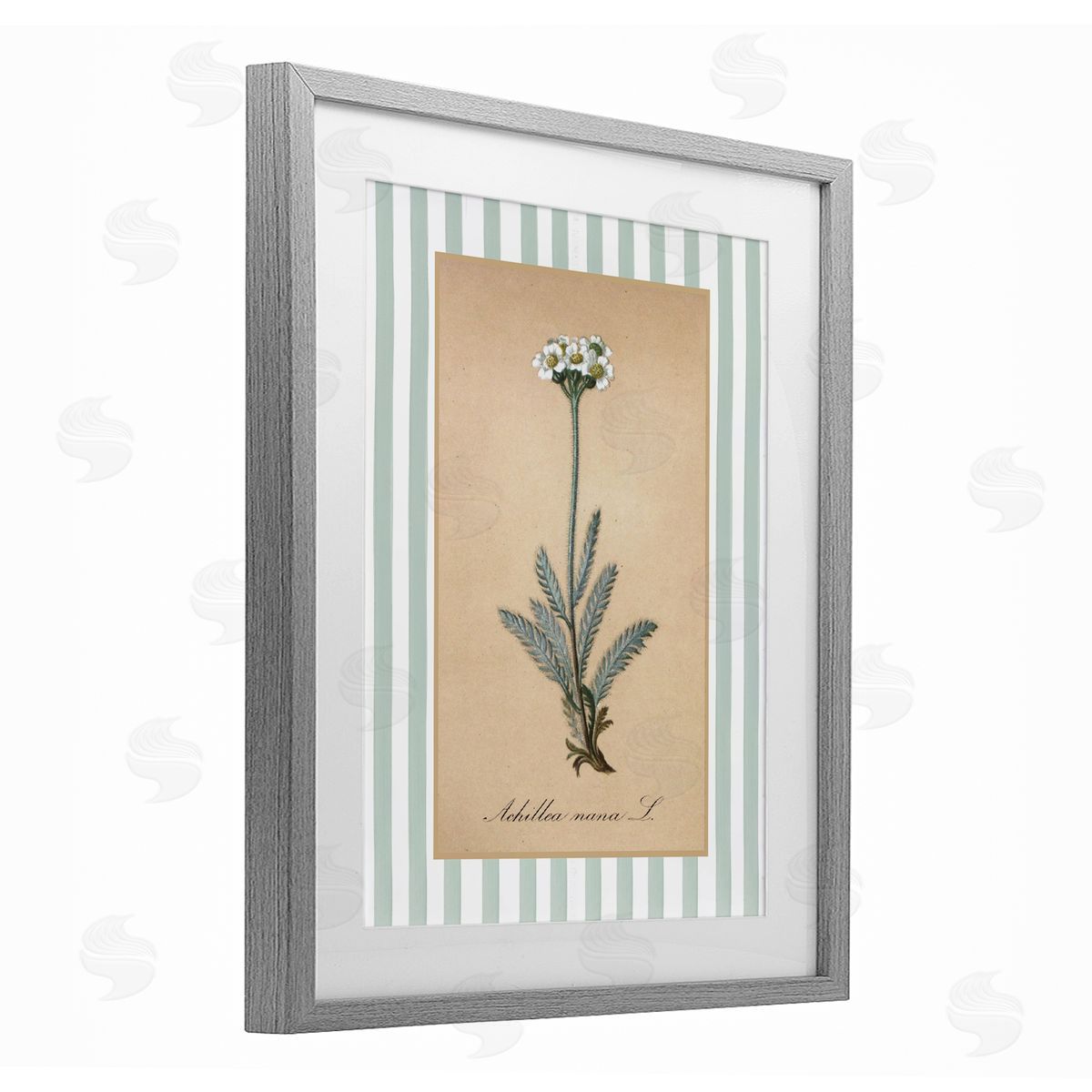 Lettered and Lined Wild Herb with Green Stripes Canvas Wall Art Print