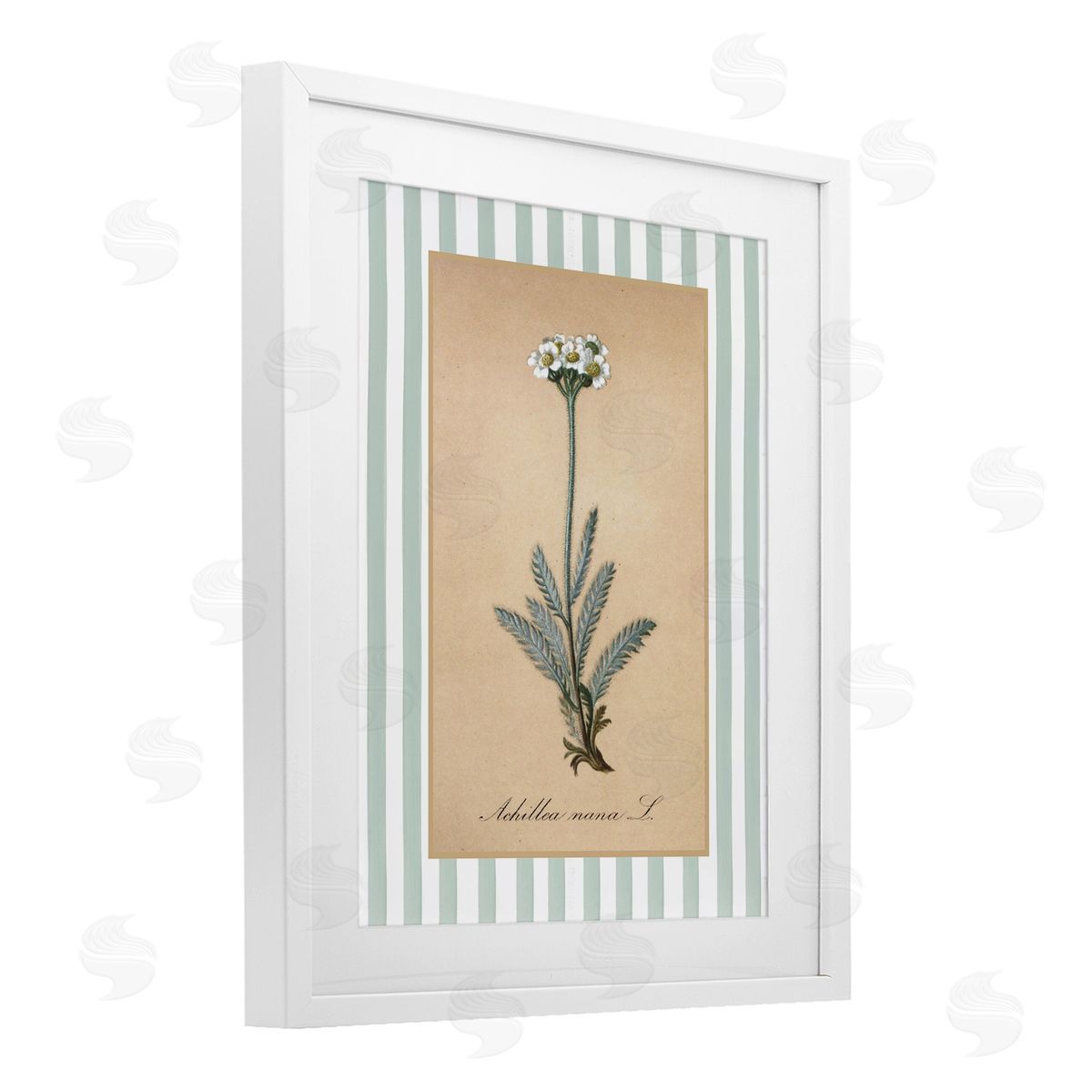 Lettered and Lined Wild Herb with Green Stripes Canvas Wall Art Print