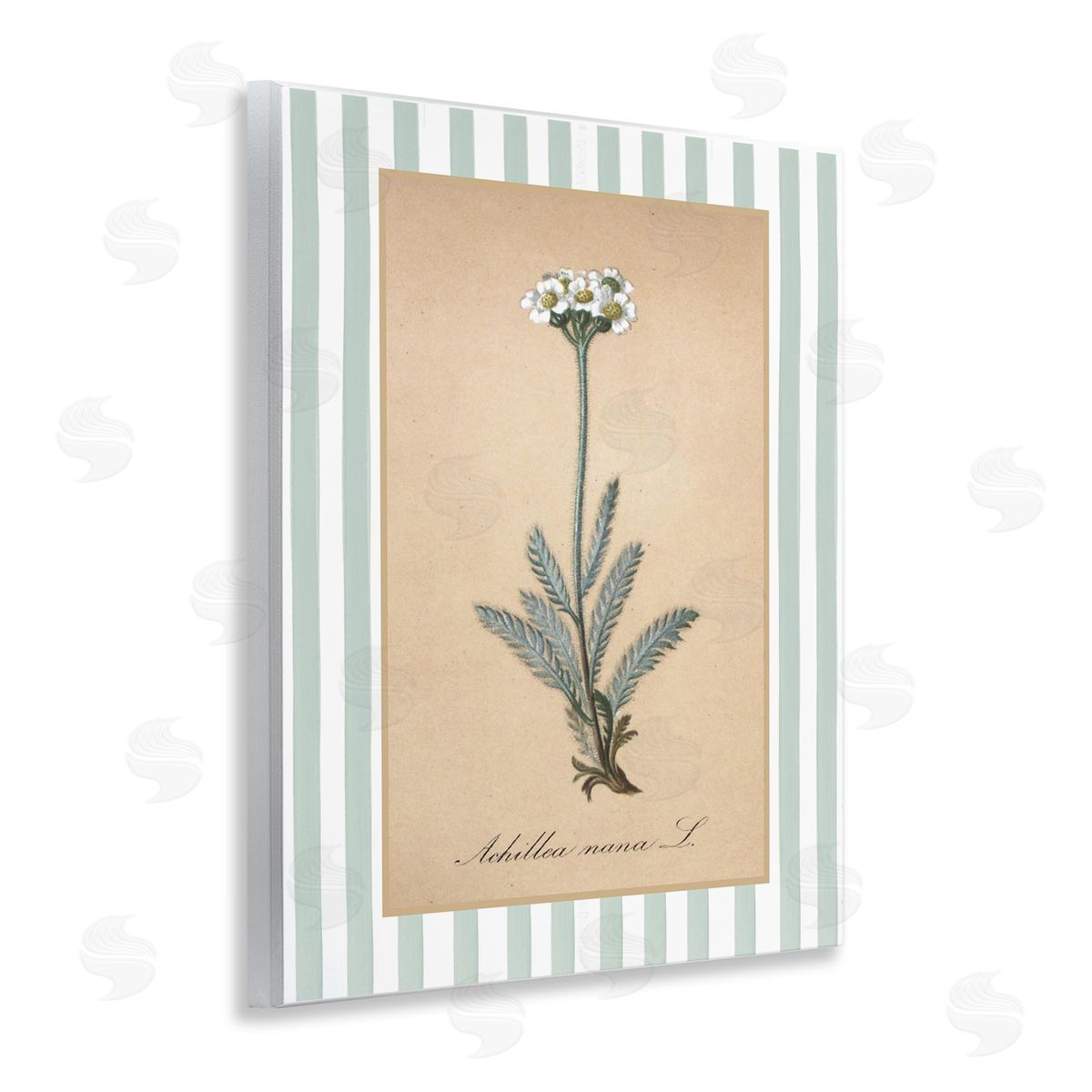 Lettered and Lined Wild Herb with Green Stripes Canvas Wall Art Print