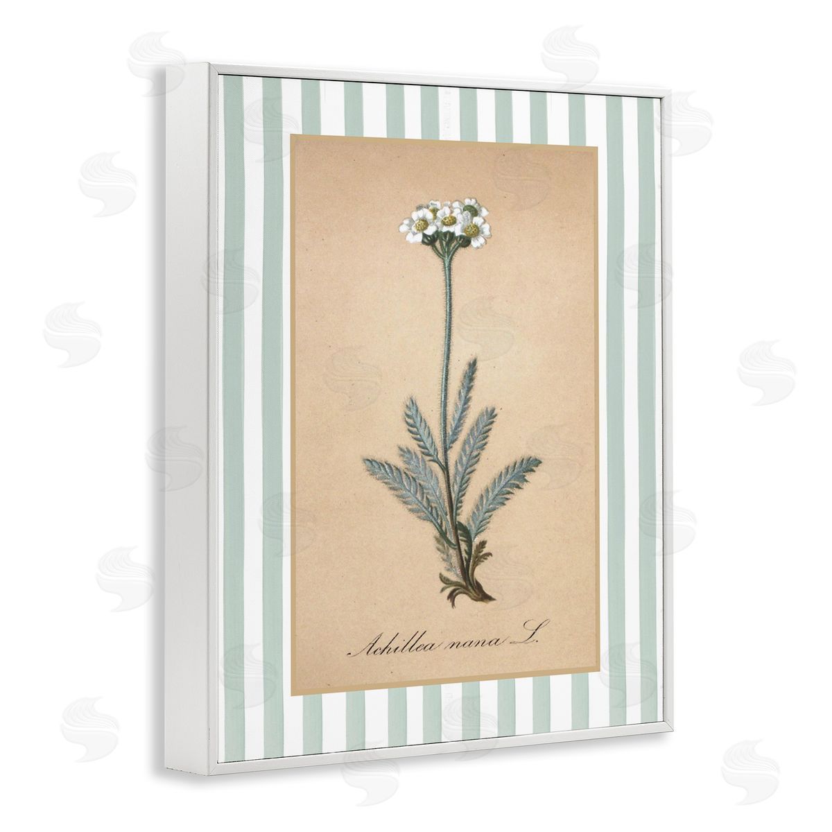 Lettered and Lined Wild Herb with Green Stripes Canvas Wall Art Print