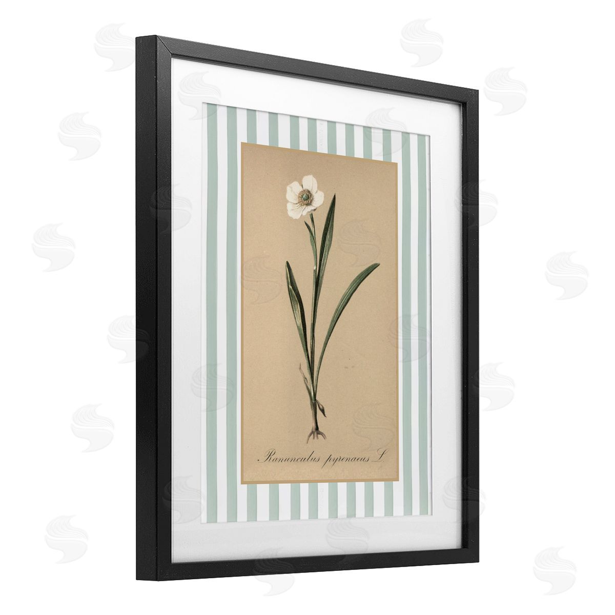 Lettered and Lined Wild Poppy with Green Stripes Canvas Wall Art Print