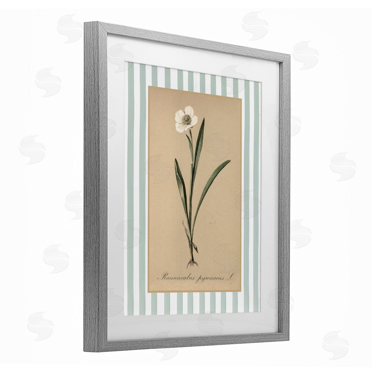 Lettered and Lined Wild Poppy with Green Stripes Canvas Wall Art Print