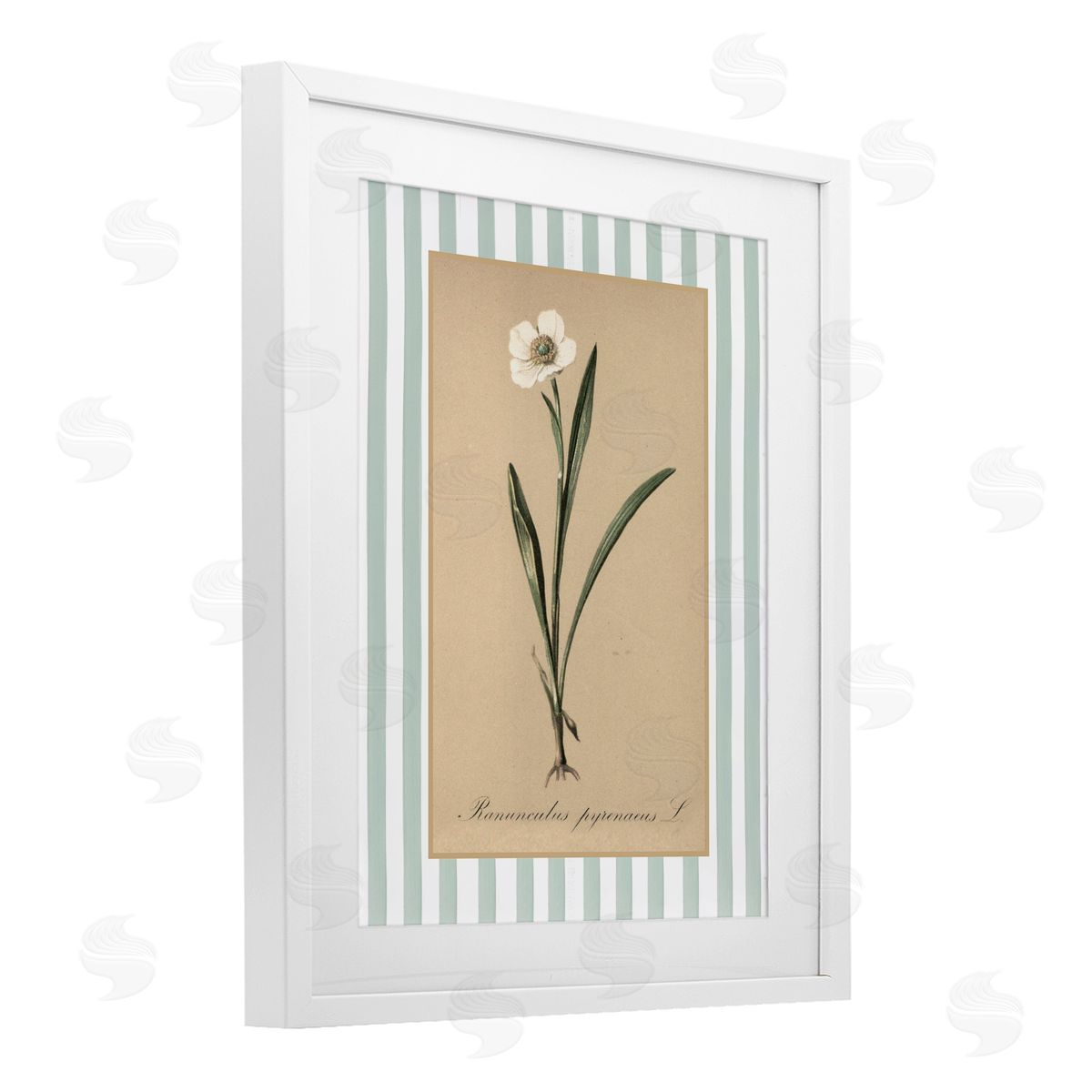 Lettered and Lined Wild Poppy with Green Stripes Canvas Wall Art Print