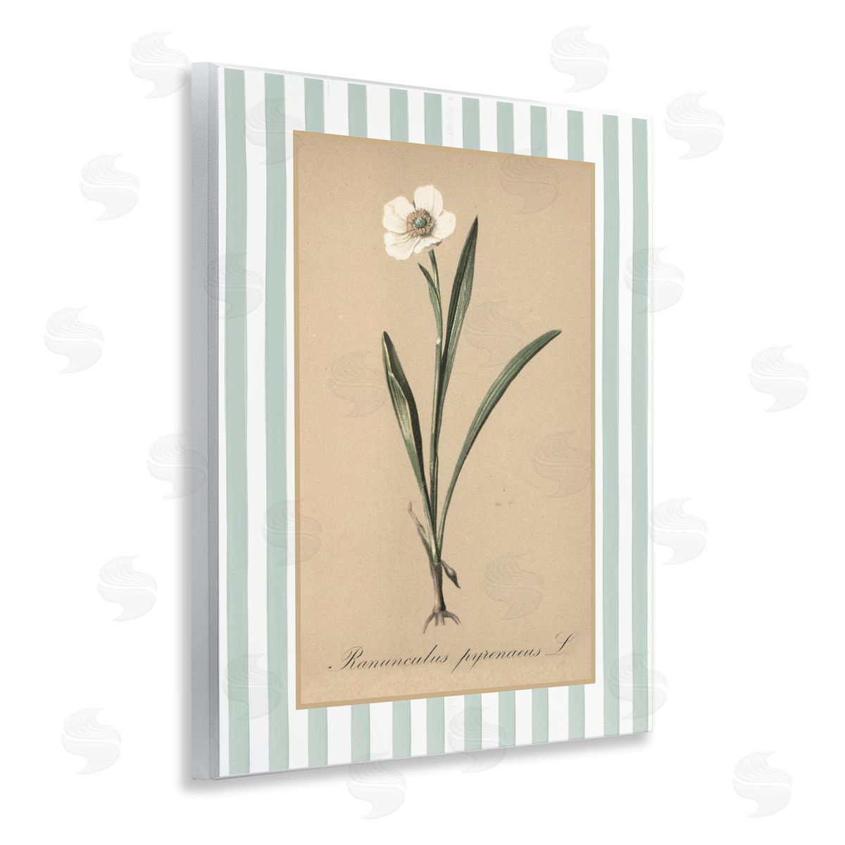 Lettered and Lined Wild Poppy with Green Stripes Canvas Wall Art Print