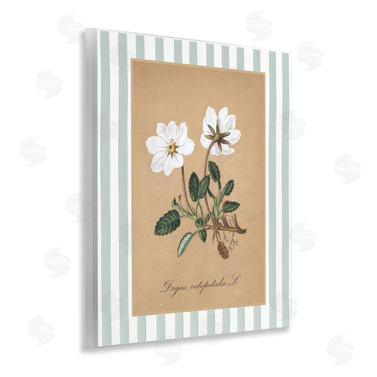 Lettered and Lined White Flower Green Stripes Canvas Wall Art Print