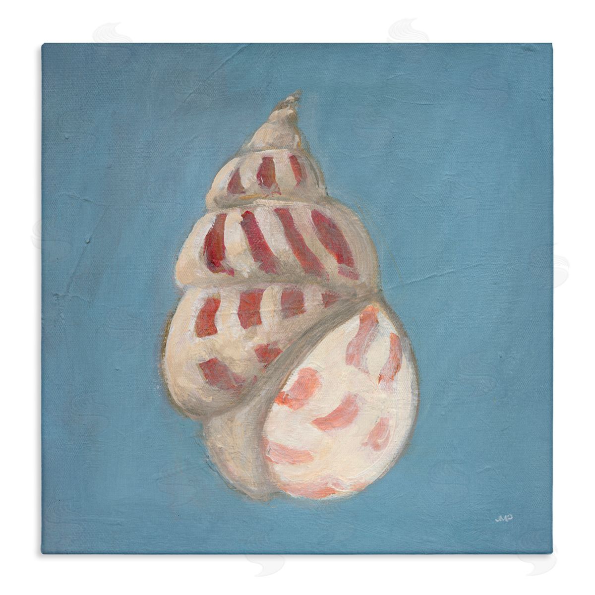 Julia Purinton Soft Sea Cowrie Shell Canvas Wall Art Print