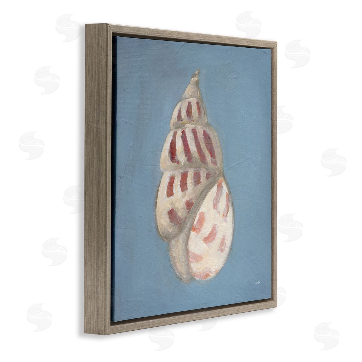 Julia Purinton Soft Sea Cowrie Shell Canvas Wall Art Print