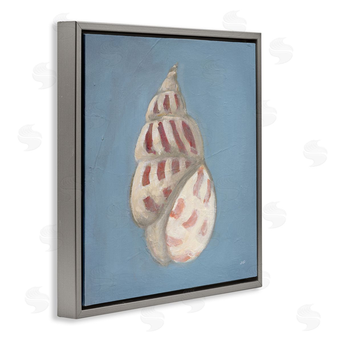 Julia Purinton Soft Sea Cowrie Shell Canvas Wall Art Print
