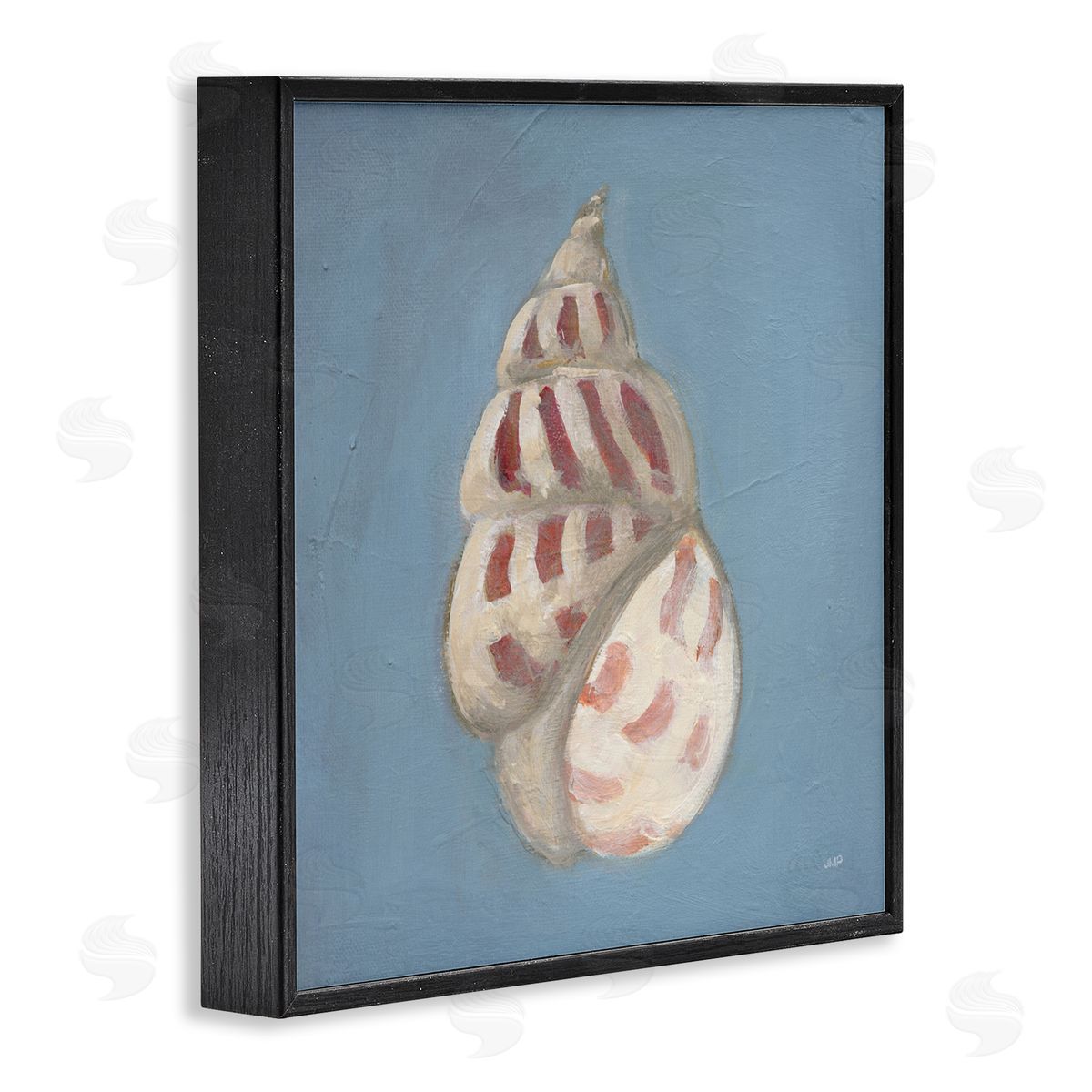 Julia Purinton Soft Sea Cowrie Shell Canvas Wall Art Print