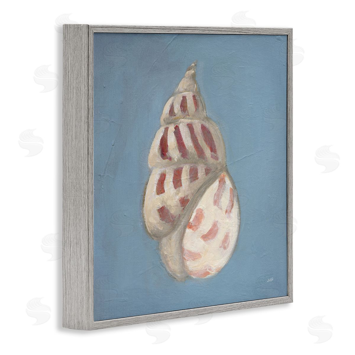 Julia Purinton Soft Sea Cowrie Shell Canvas Wall Art Print
