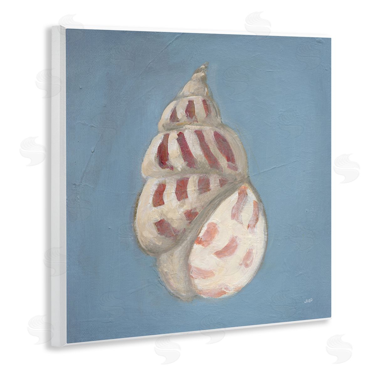Julia Purinton Soft Sea Cowrie Shell Canvas Wall Art Print