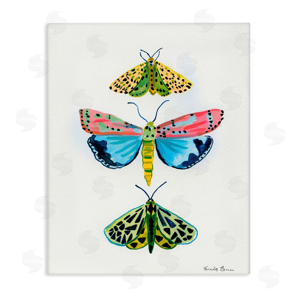 Farida Zaman Bright Moths Trio Canvas Wall Art Print