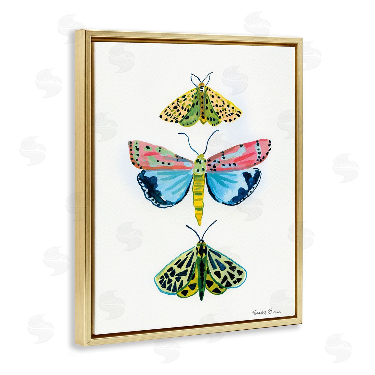 Farida Zaman Bright Moths Trio Canvas Wall Art Print