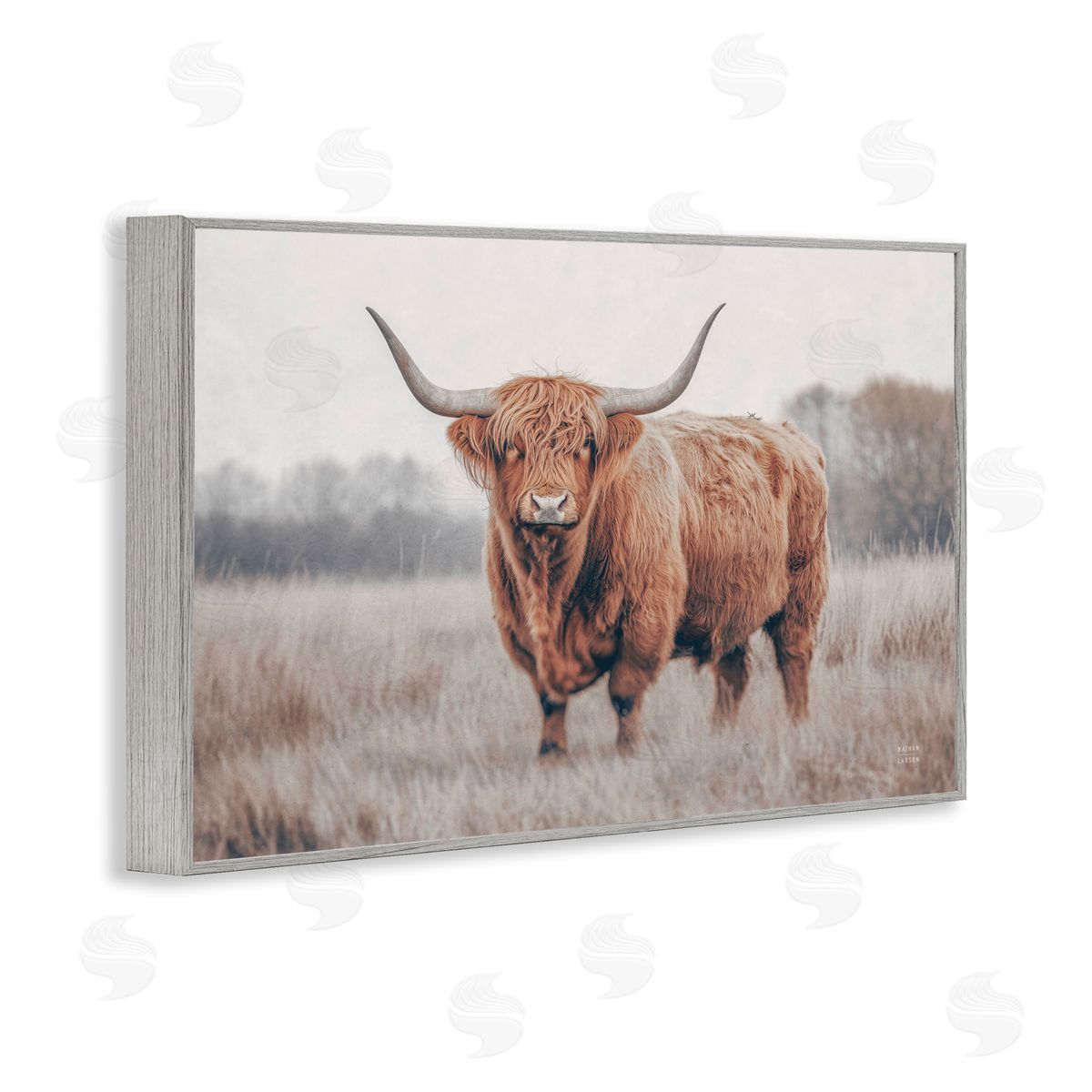 Nathan Larson Center Of Attention Cattle Canvas Wall Art Print