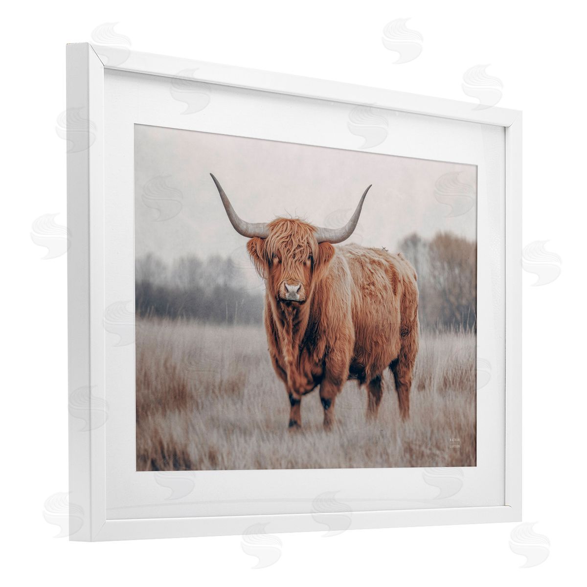 Nathan Larson Center Of Attention Cattle Canvas Wall Art Print