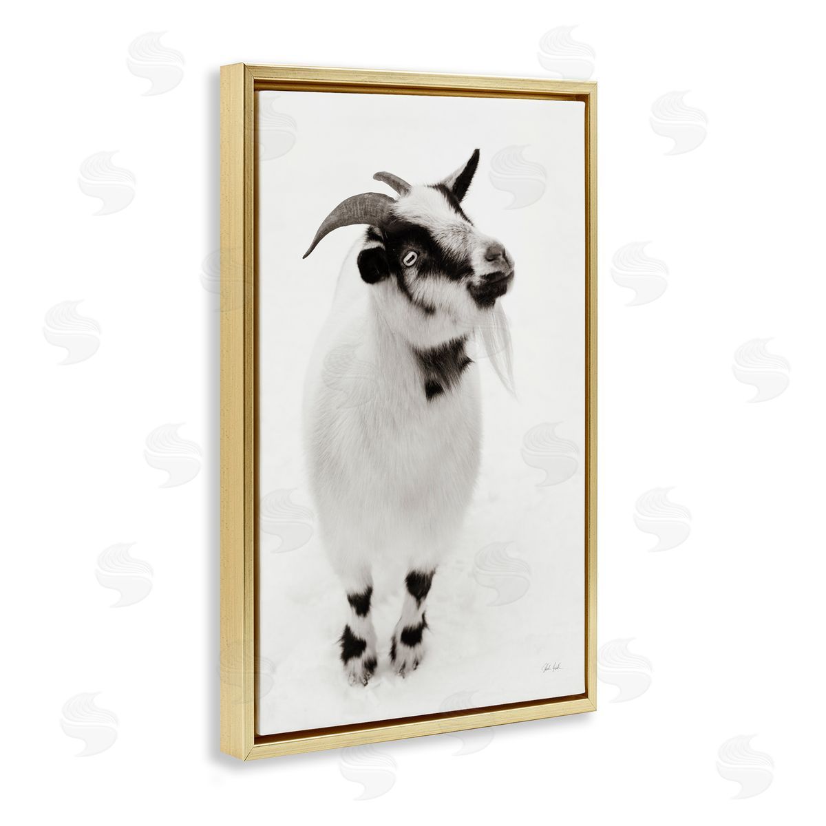 Deborah Revell White Little Goat Canvas Wall Art Print