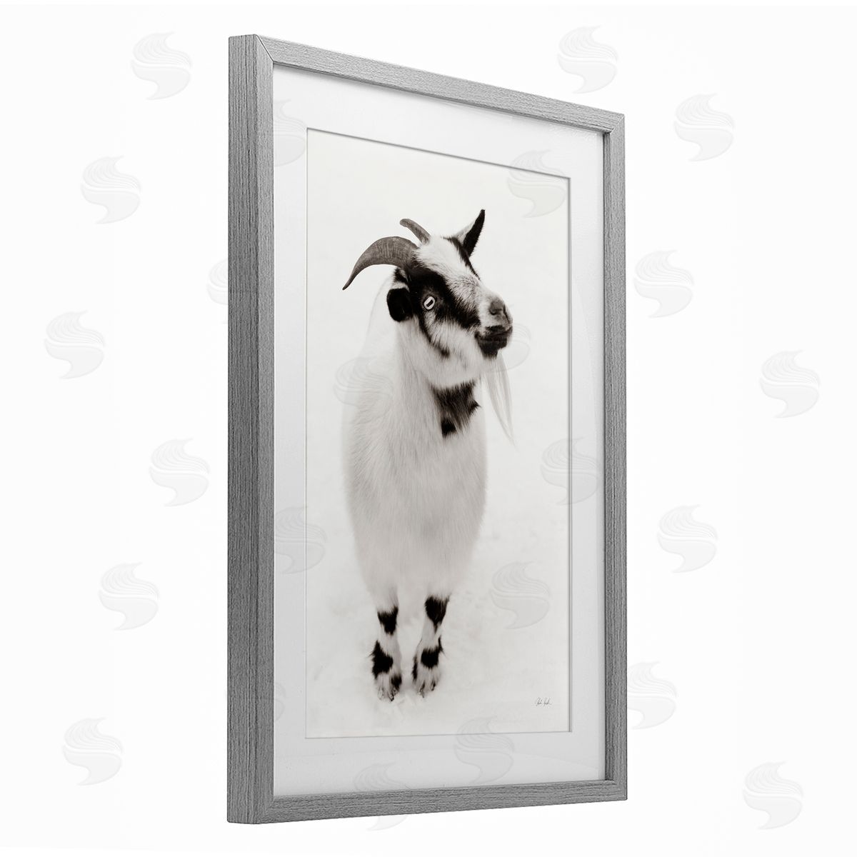 Deborah Revell White Little Goat Canvas Wall Art Print