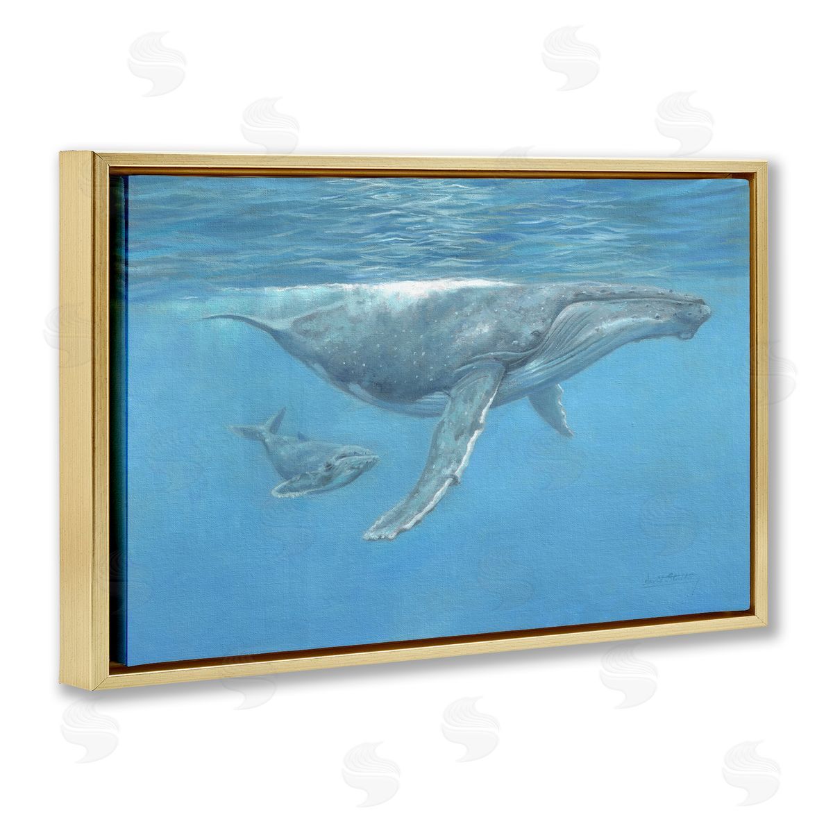 David Stribbling Humpback Whale Underwater Canvas Wall Art Print