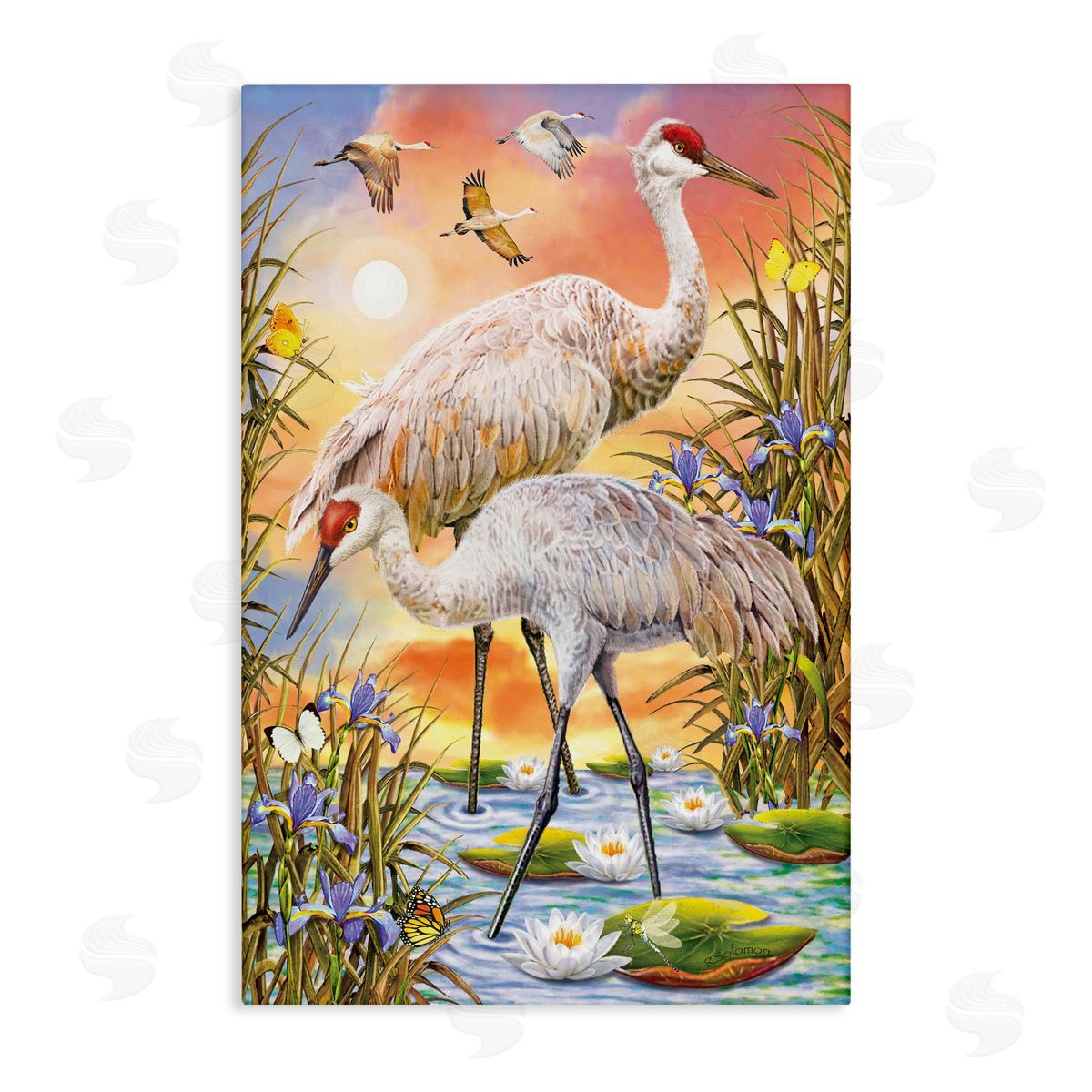 Rosiland Solomon Sandhill Cranes at Sunset Canvas Wall Art Print