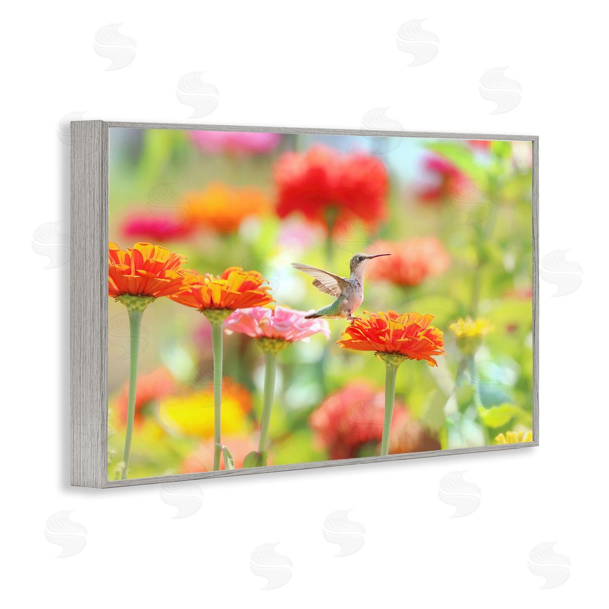 Carrie Ann Grippo-Pike Sugar Fairy Hummingbird Canvas Wall Art Print