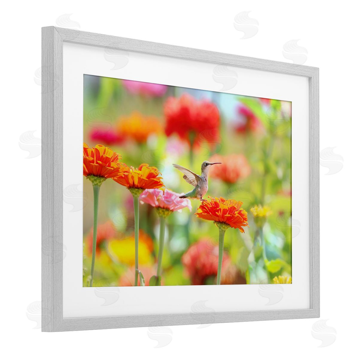 Carrie Ann Grippo-Pike Sugar Fairy Hummingbird Canvas Wall Art Print