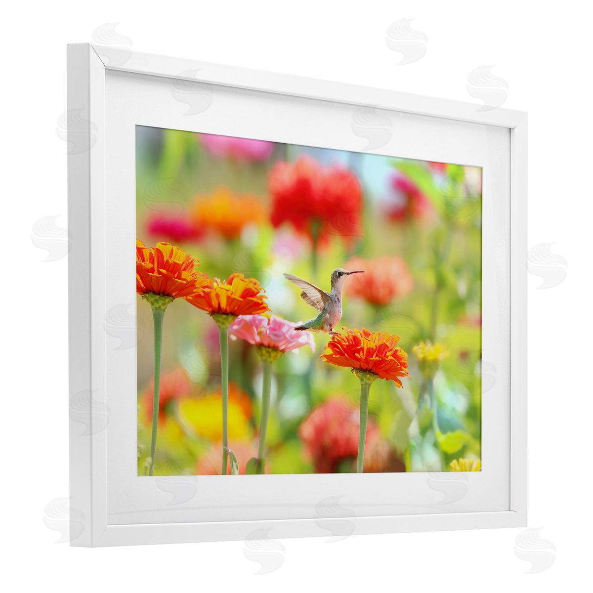 Carrie Ann Grippo-Pike Sugar Fairy Hummingbird Canvas Wall Art Print