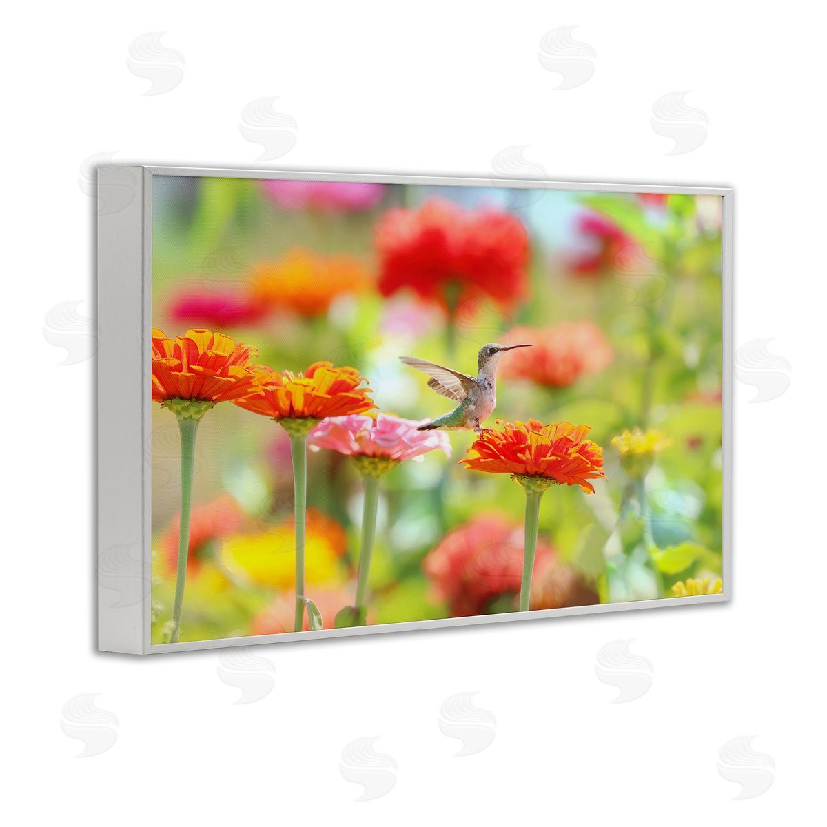 Carrie Ann Grippo-Pike Sugar Fairy Hummingbird Canvas Wall Art Print