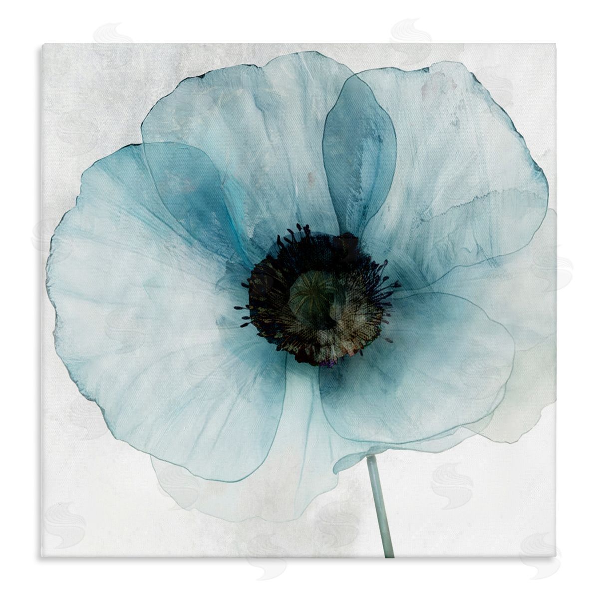Annabelle Hall Blue Promise Peony Floral Canvas Wall Art Print