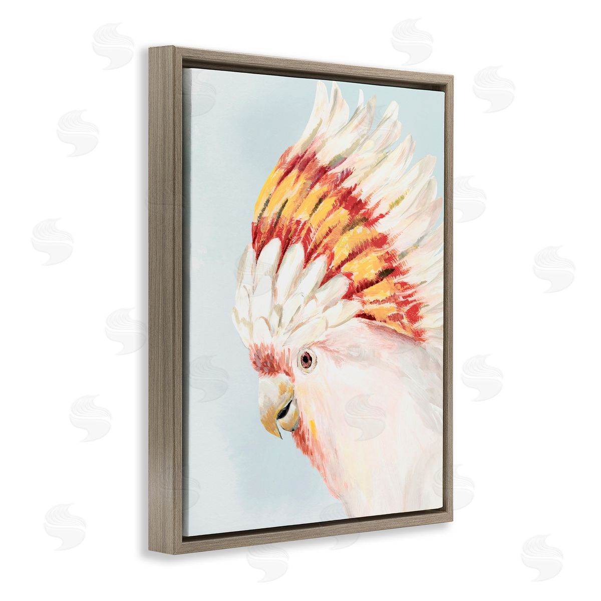 Hannah Dawson Vivid Plumage Cockatoo Brown Floating Frame Canvas Art Print