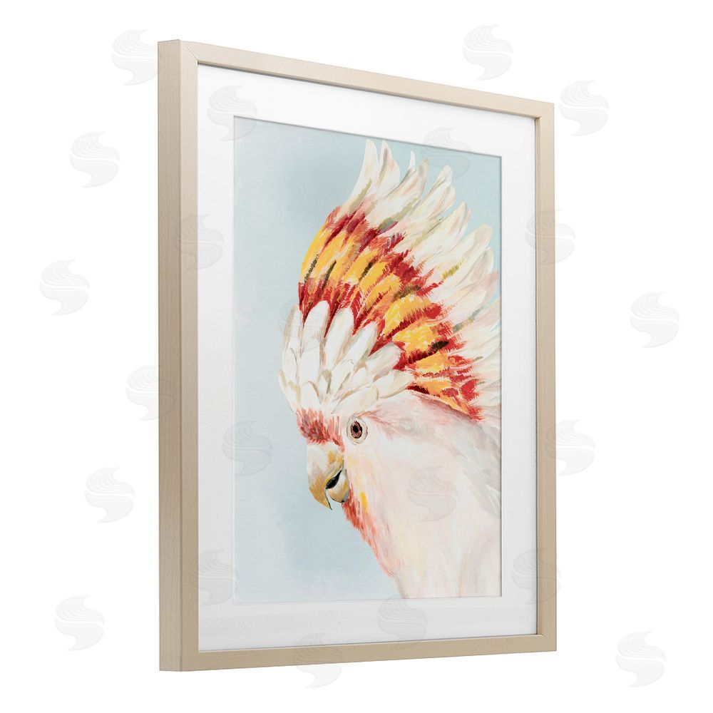 Hannah Dawson Vivid Plumage Cockatoo Birch Framed Print Under Glass Art