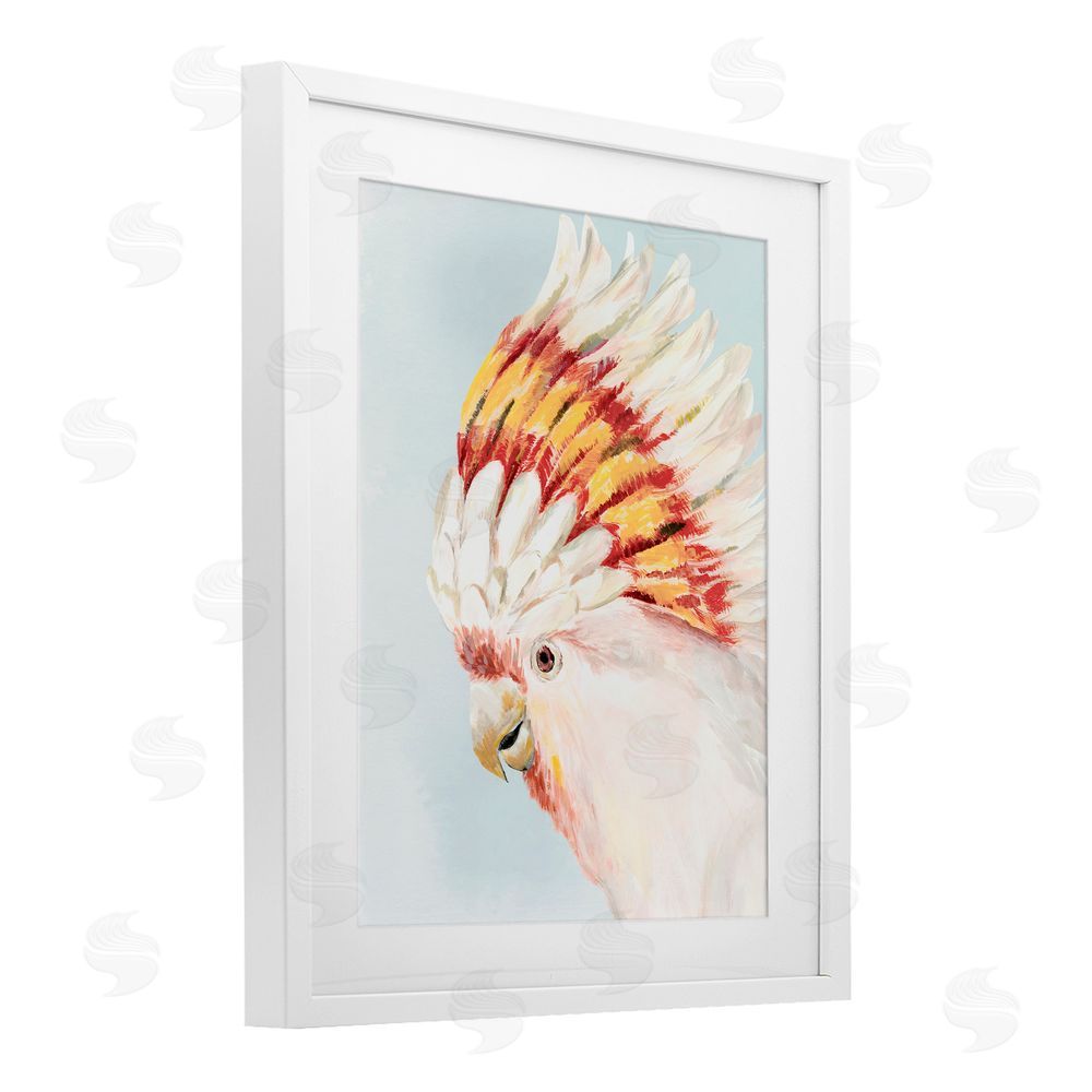 Hannah Dawson Vivid Plumage Cockatoo White Framed Print Under Glass Art
