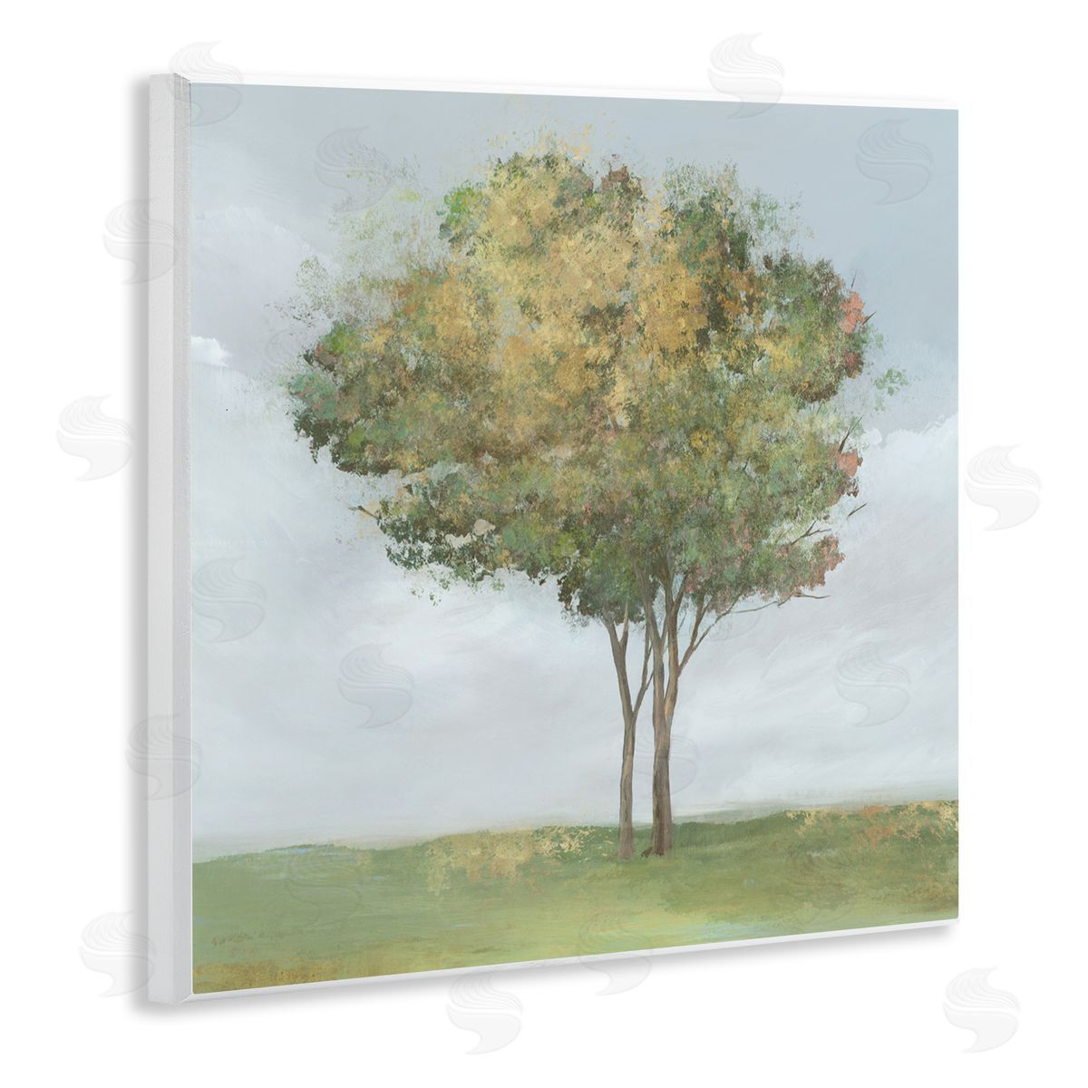 Ian C. Looming Spring Tree Bloom Canvas Wall Art Print