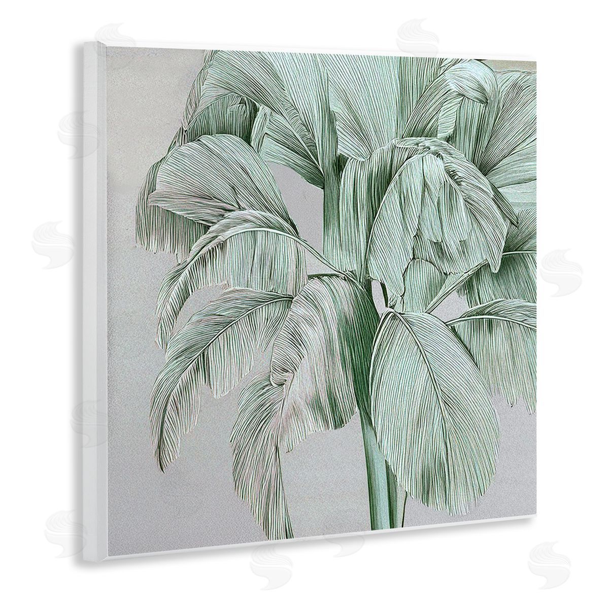 Norm Stelfox Green Tropical Sway Canvas Wall Art Print