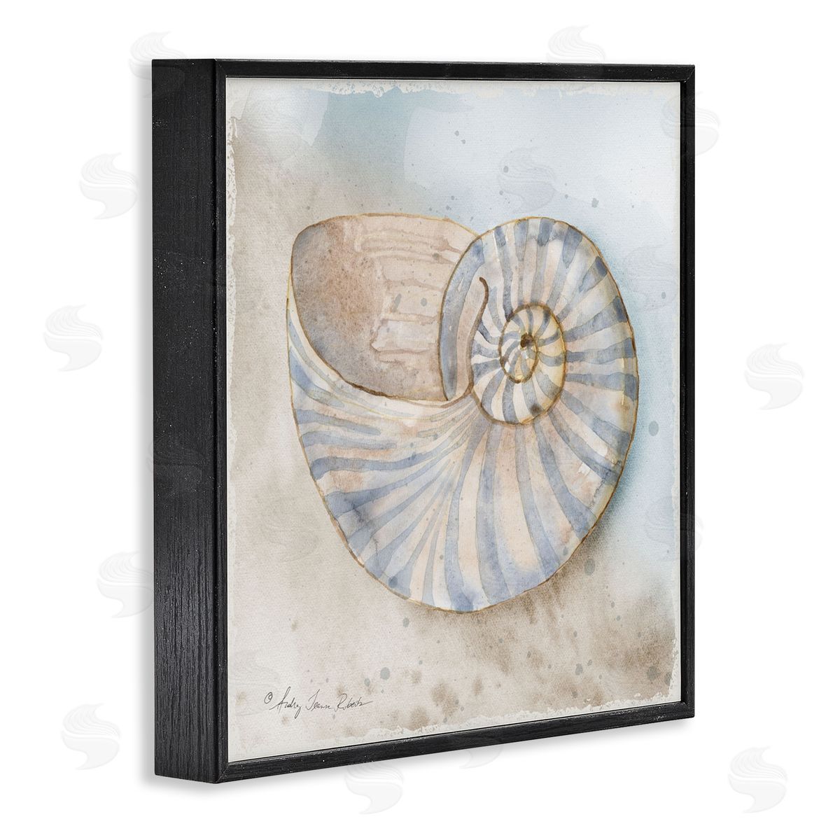 Audrey Jeanne Roberts Spiral Nautilus on Shore Canvas Wall Art Print