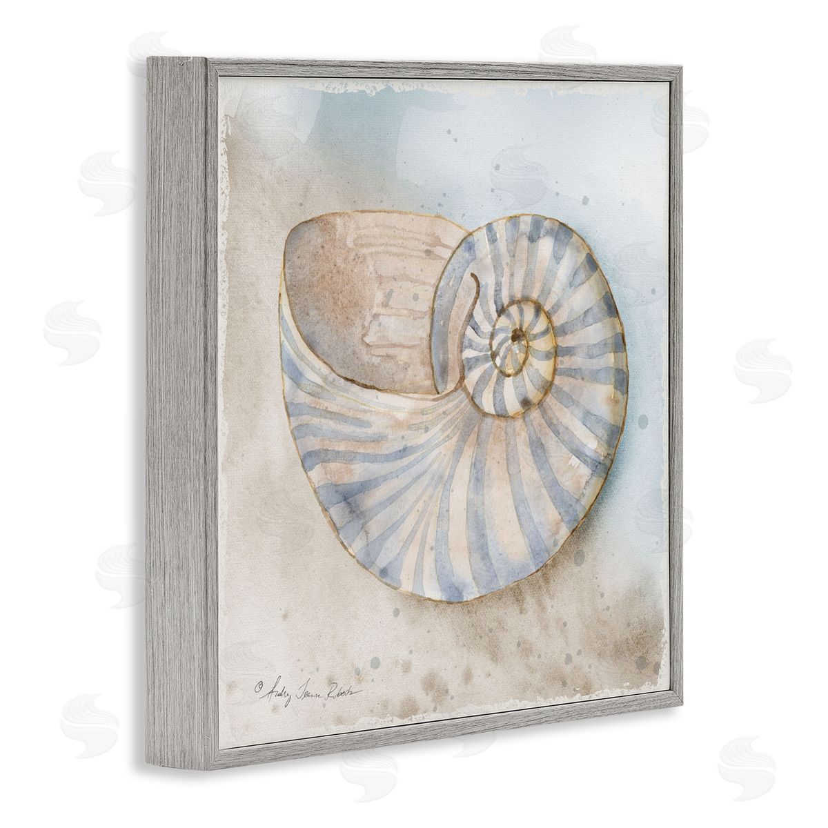 Audrey Jeanne Roberts Spiral Nautilus on Shore Canvas Wall Art Print