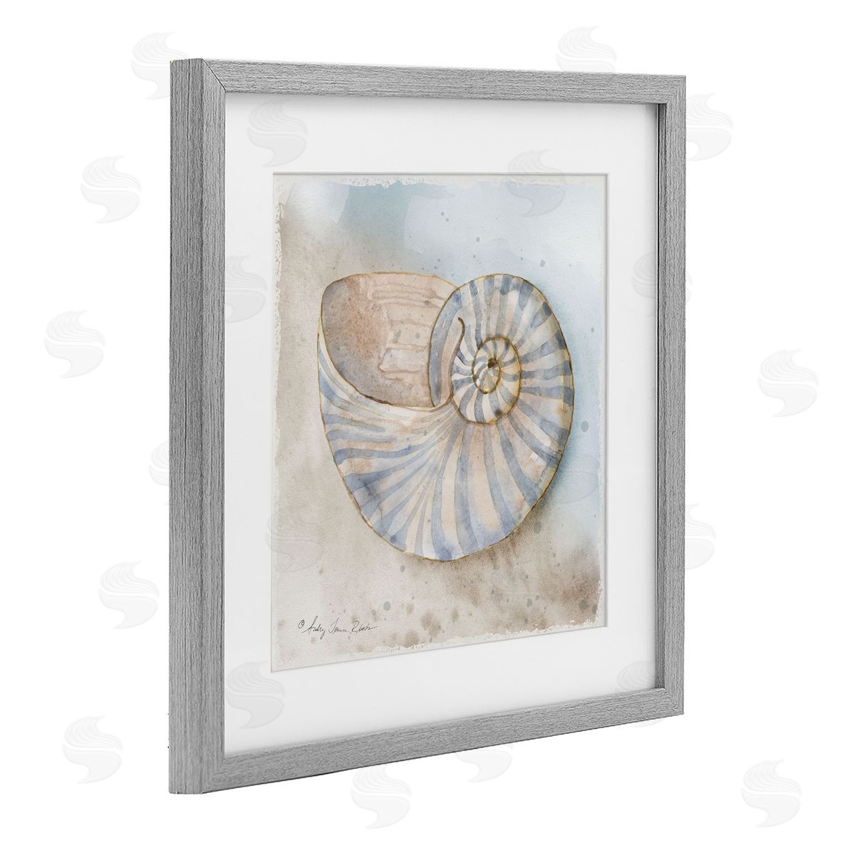 Audrey Jeanne Roberts Spiral Nautilus on Shore Canvas Wall Art Print