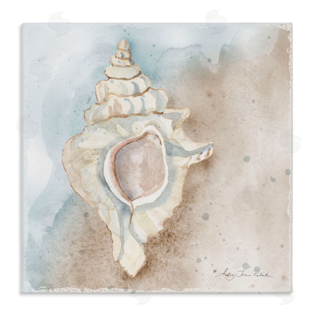 Audrey Jeanne Roberts Subtle Conch on Shore Canvas Wall Art Print