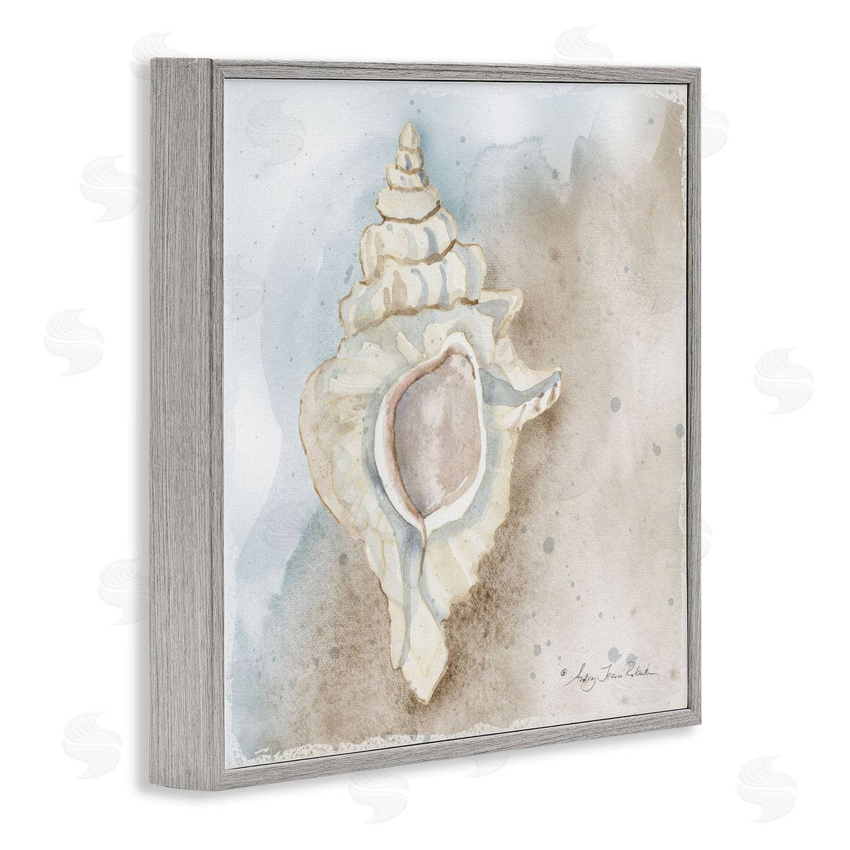 Audrey Jeanne Roberts Subtle Conch on Shore Canvas Wall Art Print
