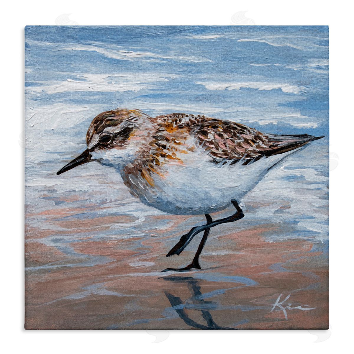 Lindsay Kivi Fine Art Sand Piper Shore Painting Canvas Wall Art Print
