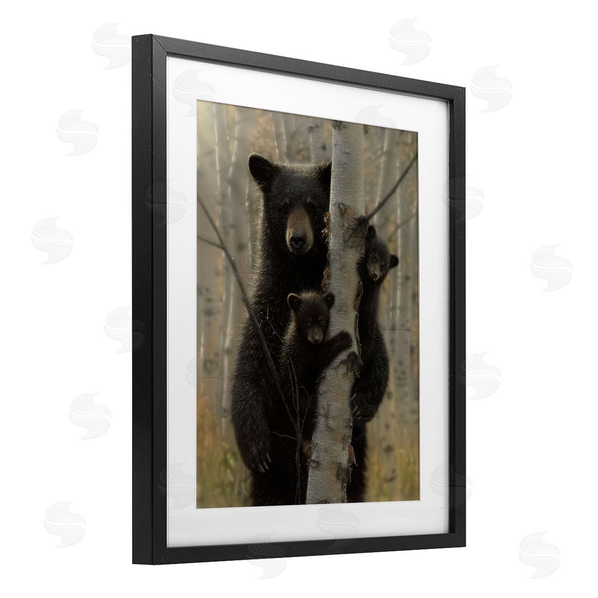 Collin Bogle Mama Bear Behind Tree Canvas Wall Art Print