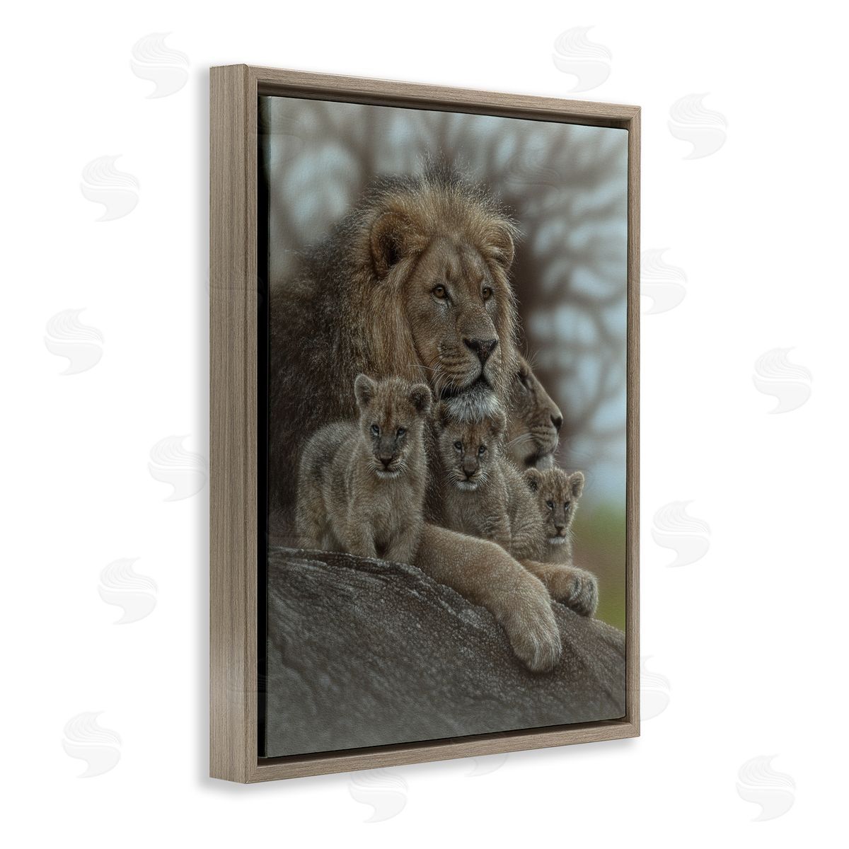 Collin Bogle Family Man Lion Cubs Canvas Wall Art Print