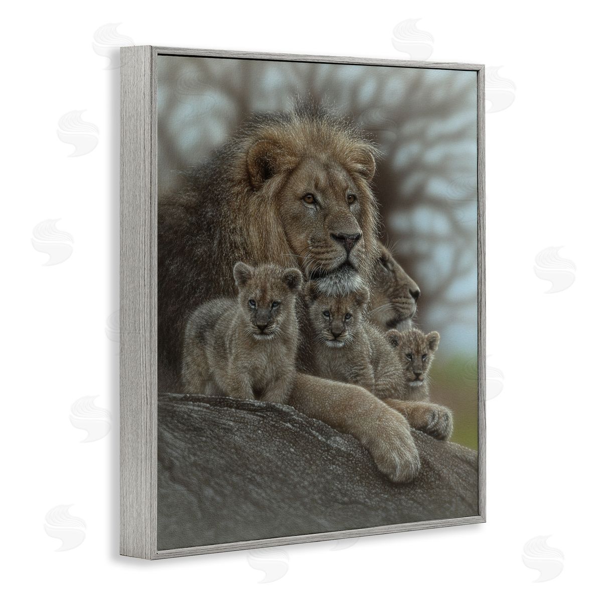 Collin Bogle Family Man Lion Cubs Canvas Wall Art Print