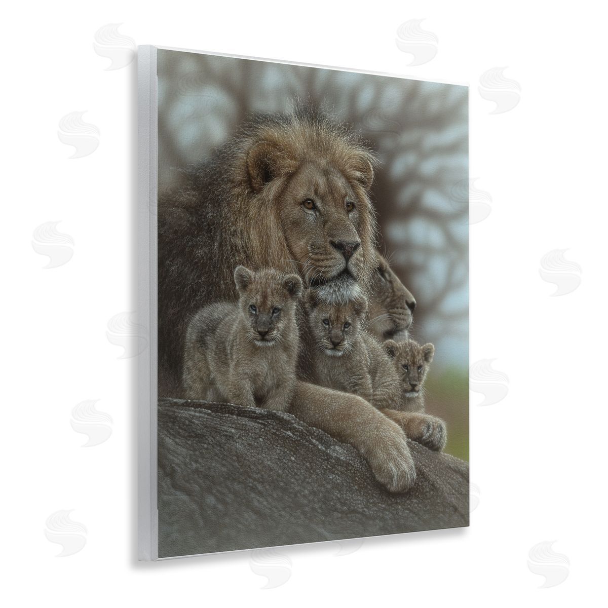 Collin Bogle Family Man Lion Cubs Canvas Wall Art Print